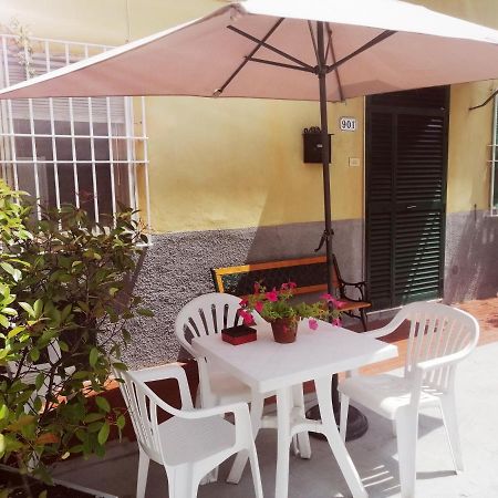 Appartement Pierina à Lucques Extérieur photo
