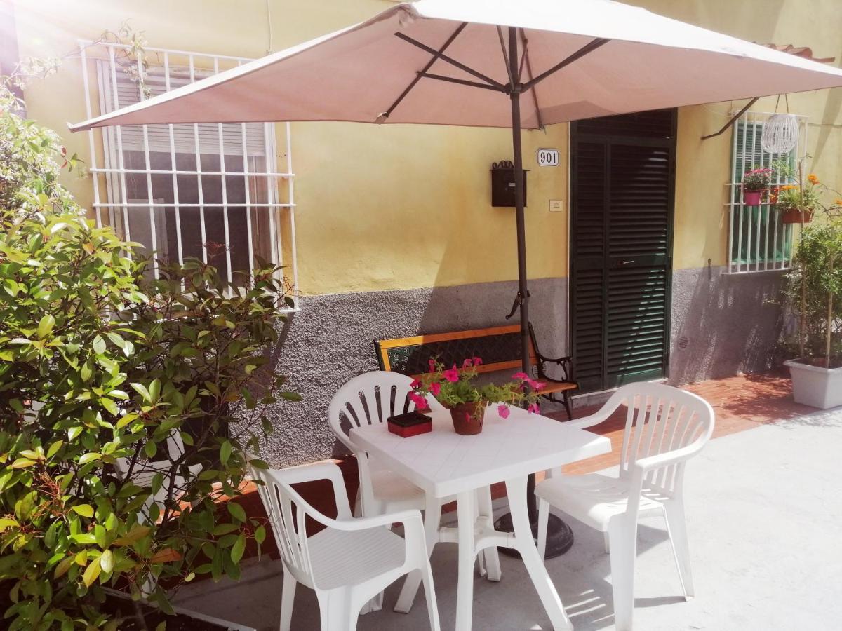 Appartement Pierina à Lucques Extérieur photo